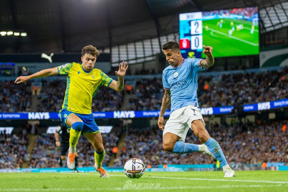 追平他29 追平他29